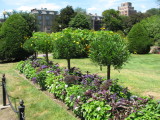 boston david 2010 225.JPG