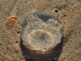P9070416.JPG