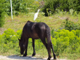 P9080461.JPG