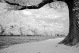 Infrared