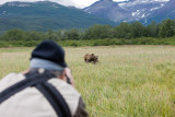 124_Photographer and Bear