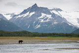 220_Bear Scenic