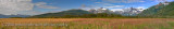 124a - Bear Viewing Landscape Pano