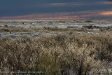 1036Sunset on the Tundra.jpg