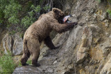 014-Taking the Catch to Eat