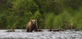 027-Fishing in the River