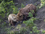 037-Sharing Lunch