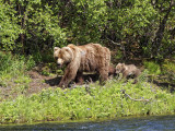 050-Mother and Child