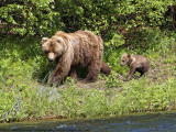 051-Mother and Child