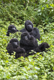 045-Sabinyo Family