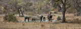 021-Camp Water Hole