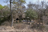 036-Camp View from Bush