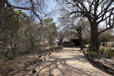 042-Camp Grounds