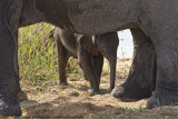 040-Baby Framed by Mom
