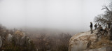 049-Mala Mala in the Fog