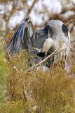 GBH Hard to Reach Places