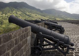 Canon battery