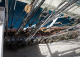 Lots of rigging