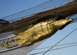 Golden Eagle