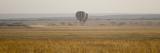 Early morning balloon ride