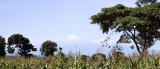Mt. Kilimanjaro from road to Arusha