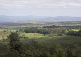Viw from Gibbs Farm