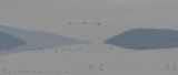 10Impressions of Lake Manyara