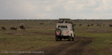 22Cruising the Serengeti Plains
