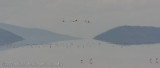 06Impressions of Lake Manyara