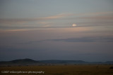 21Moon over the Serengeti