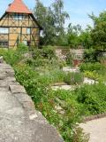 Medieval garden2.jpg