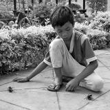 Beetle tug-of-war, pastime for village kids, Lombok, Indonesia