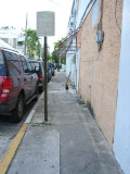Roosters on the streets!