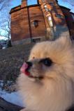 Dec7f_05_044.JPG