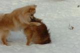 Dec18_05_246.JPG