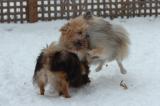 Dec18_05_080.JPG