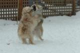 Dec18_05_110.JPG