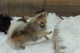Dec18_05_131.JPG