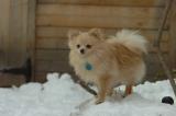 Dec18_05_134.JPG