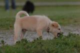June14_06_102.JPG