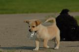June18_06_799.JPG