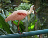 BioDome 07783.JPG