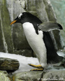 BioDome 07949.JPG