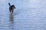 North Saskatchewan River