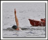 _MG_1460b