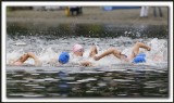 _MG_0807a