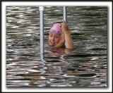 _MG_2462a