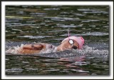 _MG_2449a