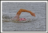 _MG_1557a  -  SOUS LA PLUIE BATTANTE  /  IN HEAVY RAIN