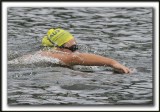 _MG_2147a